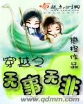 穿越之无事无非封面