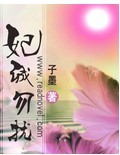 妃诚勿扰封面