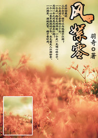 风絮零封面