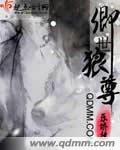 卿世狼尊封面