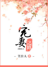 宠妻之路封面