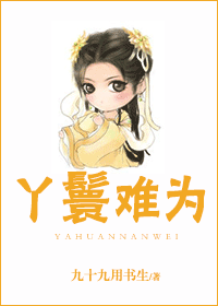 丫鬟难为封面