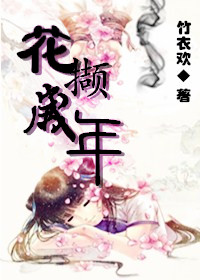 花撷岁年-风华正茂封面