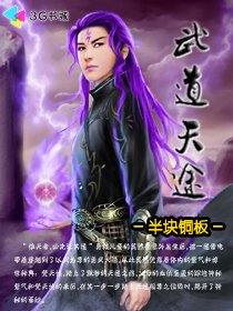 武道天途封面
