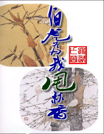 伯虎为我甩秋香封面