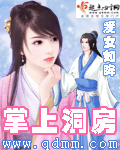 掌上洞房封面