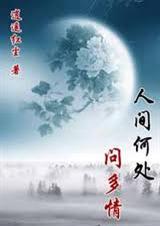 人间何处问多情封面