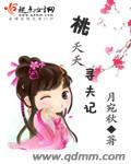桃夭夭寻夫记封面