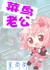 菜鸟老公封面