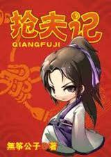 抢夫记封面
