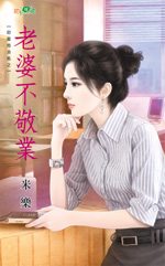 老婆不敬业封面