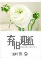 弃旧迎新封面