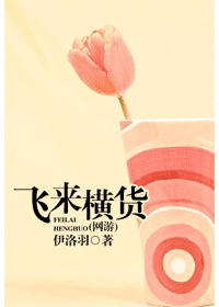 飞来横祸封面