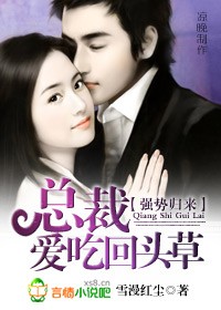 总裁爱吃回头草封面