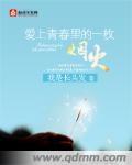 爱上青春里的一枚烟火封面
