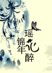 锦年瑶花醉封面
