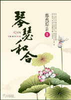 琴瑟和合封面