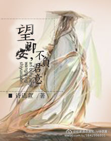 望卿安,不负君意封面