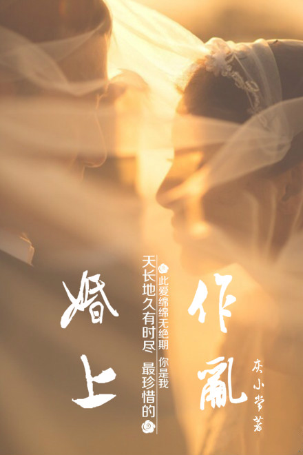 婚上作乱封面
