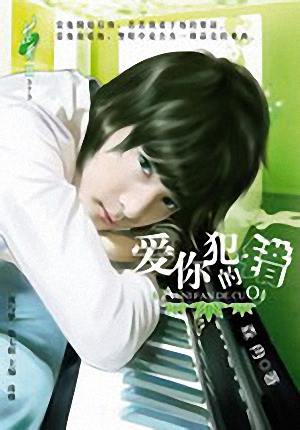 爱你犯的错封面