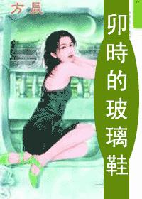卯时的玻璃鞋封面