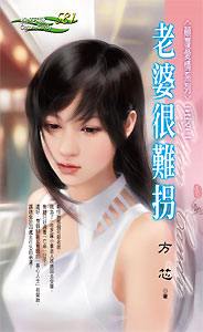老婆很难拐封面