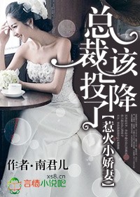 总裁该投降了-惹火小娇妻,总裁该投降了封面