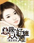 总裁大人好难缠封面