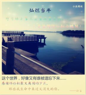 灿烂当年封面