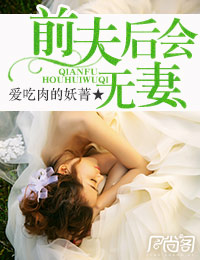 前夫,后会无妻封面