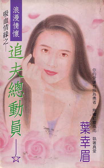 追夫总动员封面