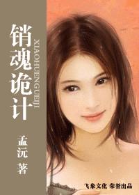 销魂诡计封面