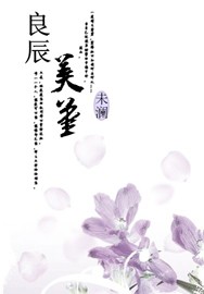 良辰美堇封面