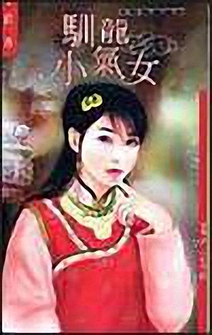 驯龙小气女封面