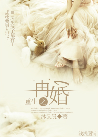 重生之再婚封面