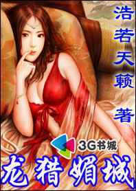 龙猎媚城封面