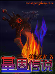 基因传说封面