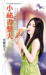 小秘书整夫封面