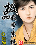 极品武学系统封面