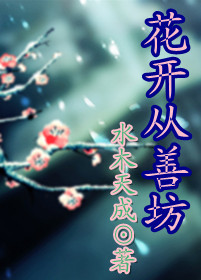 花开从善坊封面