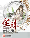 宝珠封面