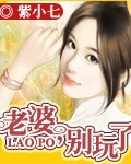 老婆,别玩了封面