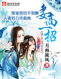 妻高一招封面
