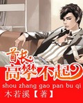 首长高攀不起封面