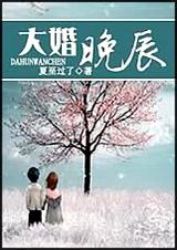 大婚晚辰封面