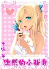 总裁的小甜妻封面