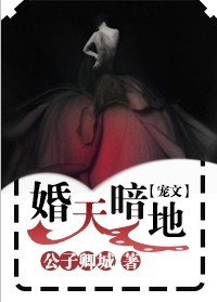 婚天暗地封面