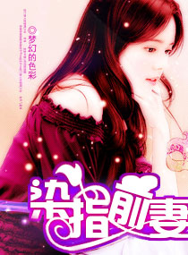 染指前妻封面