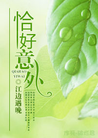恰好意外封面