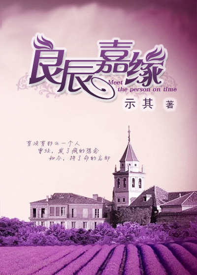 良辰嘉缘封面